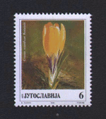 poštanska marka 1991  krokusi 6 dinara